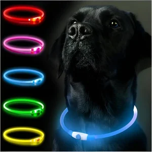 Collar Led para Mascotas Ajustable