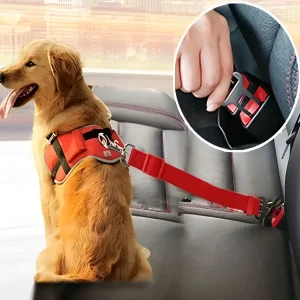 Cinturon de seguridad de mascotas para carros
